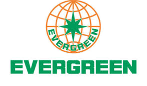 Evergreen