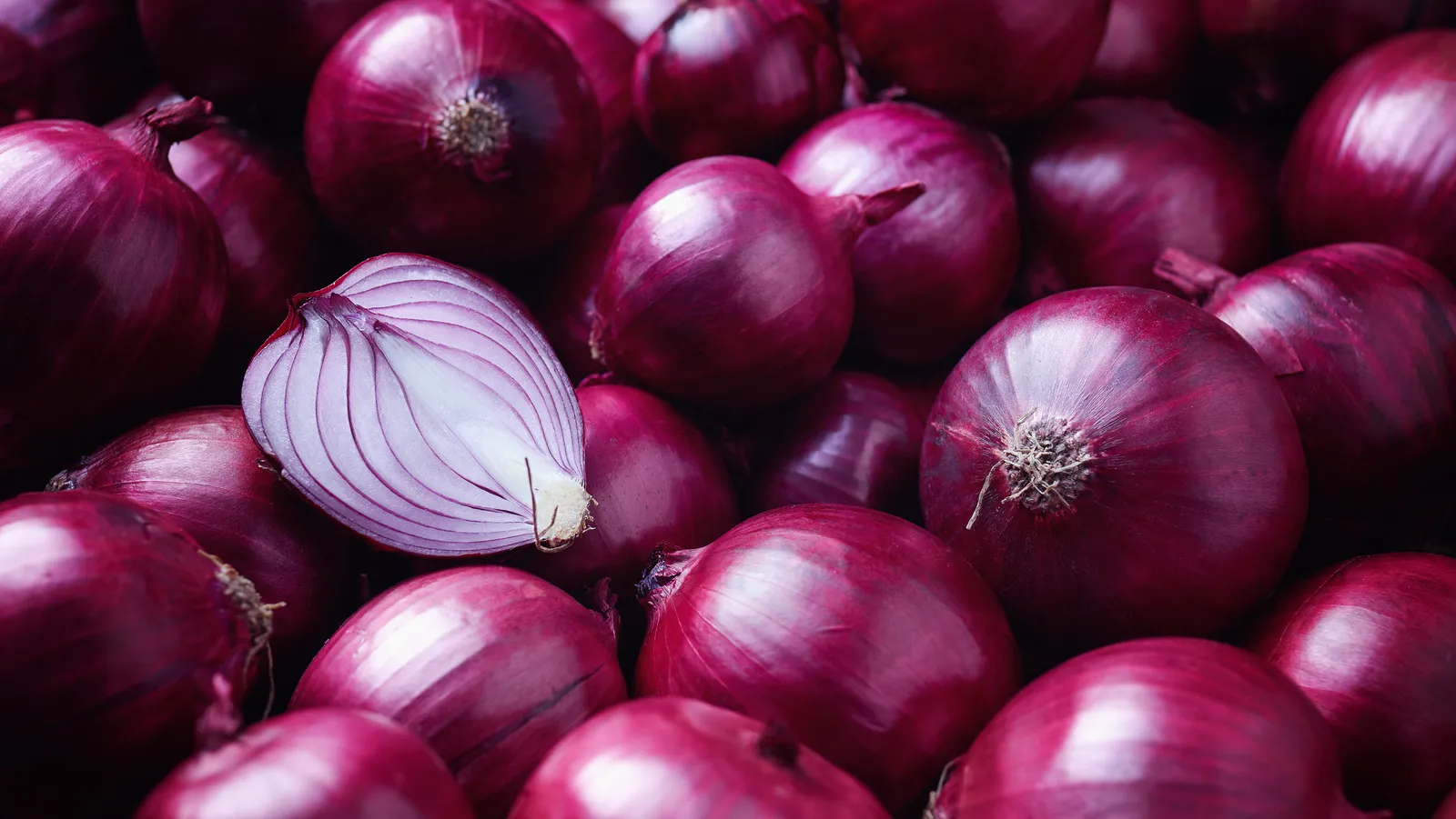 Fresh Red Onion